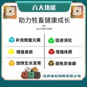 2023年养羊户适合扩群吗？